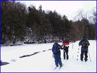 Cross Country Skiing