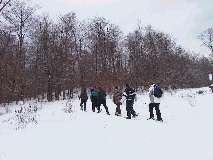 snowshoe