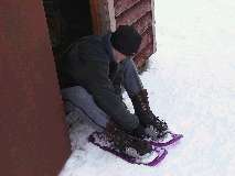 Snowshoe