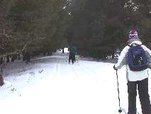 Skiing