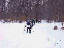 Skiing