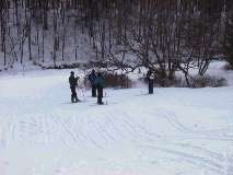 Skiing