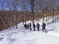 snowshoeing