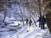 snowshoeing