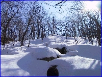 View along the ridge