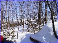 View along the ridge