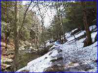Ravine
