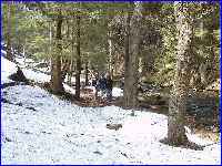 Ravine