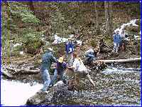 Stream
