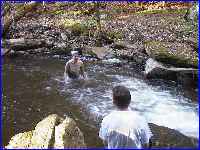 swim