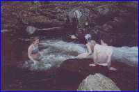 swim