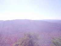 click to view bigger picture