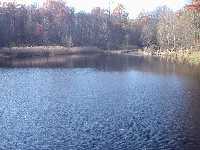 click to view bigger picture