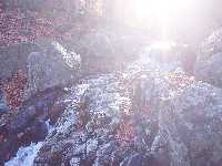 click to view bigger picture