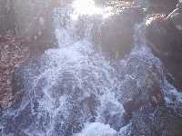 click to view bigger picture