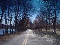 picture