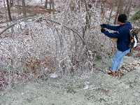 click for larger picture