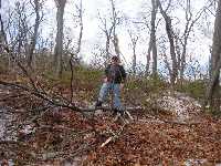 click for larger picture