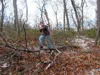 click for larger picture