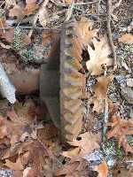 click for larger picture