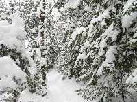 click for Wednesday Pictures