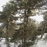 G0030021