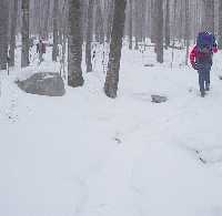 click to view bigger picture picture