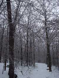 click to view bigger picture picture