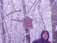 click to view bigger picture picture