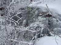 click to view bigger picture picture