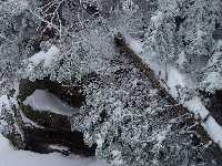 click to view bigger picture picture