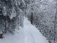 click to view bigger picture picture