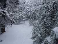 click to view bigger picture picture