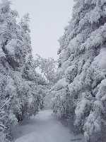 click for larger picture in new window click for larger picture in new window