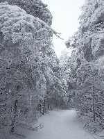 click for larger picture in new window click for larger picture in new window