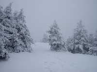 click to view bigger picture picture