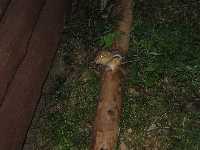 Click to go to Campsite Page