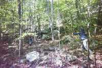 Bushwacking back to canoe