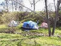 Tents
