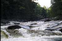 click to go to Friday Page