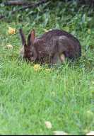 click to view bigger picture