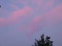 click to view bigger picture picture