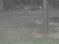 click to view bigger picture picture